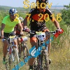 IMG_1780 (2)